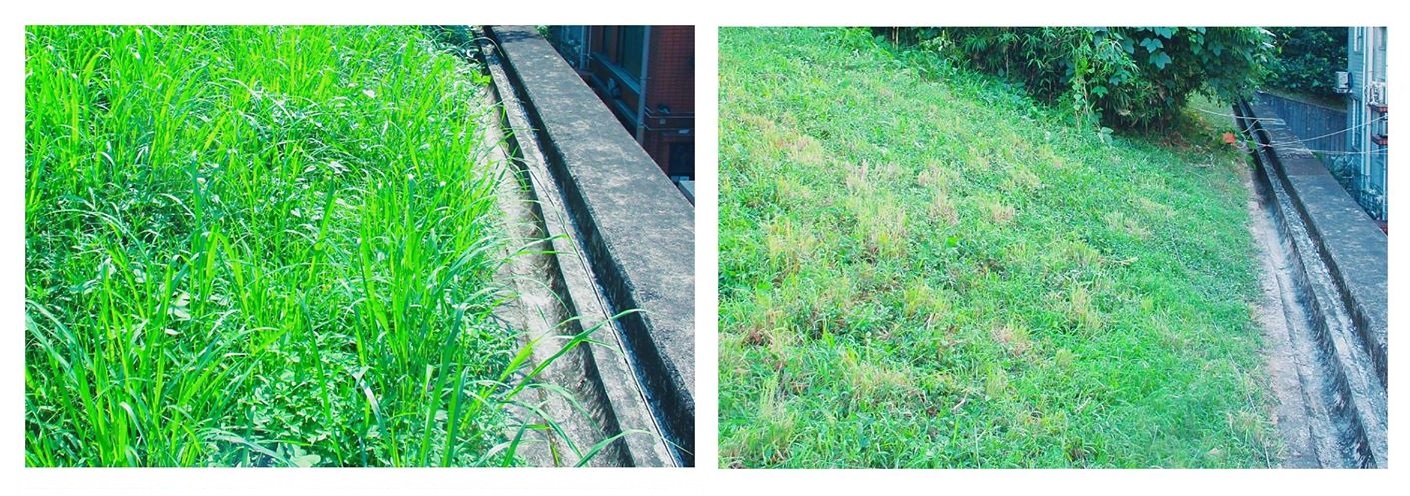 打草1